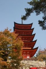 秋の五重塔